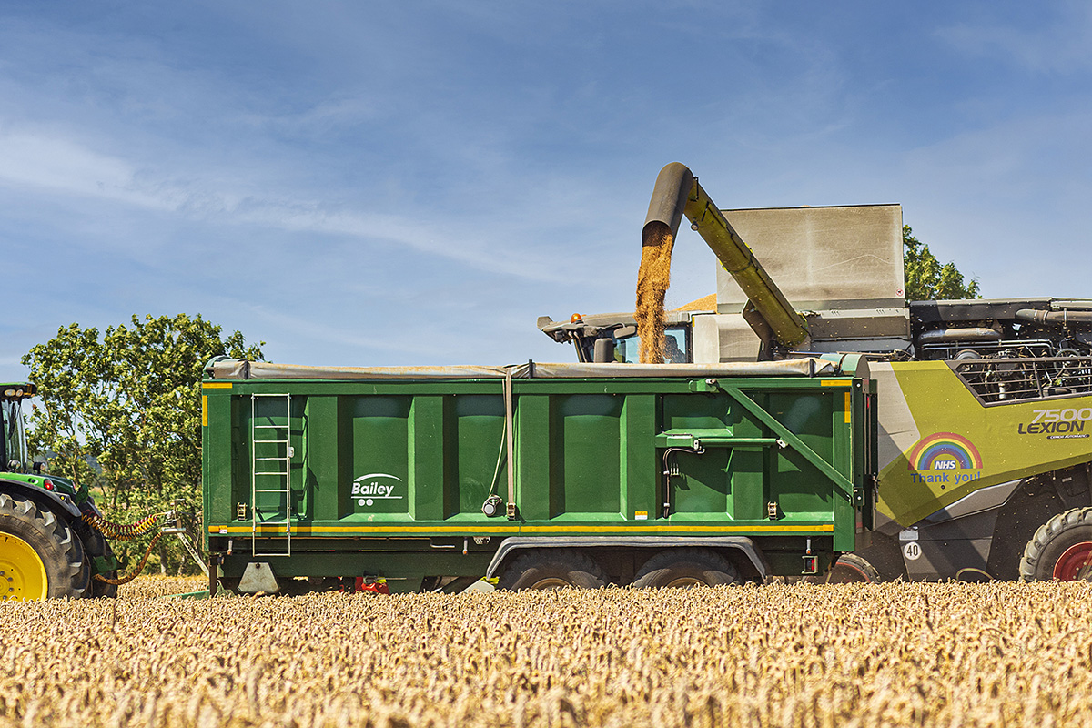 Bailey tb trailer in action during harvest