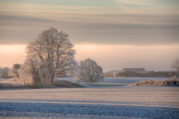 Lincolnshire fields in winter mist