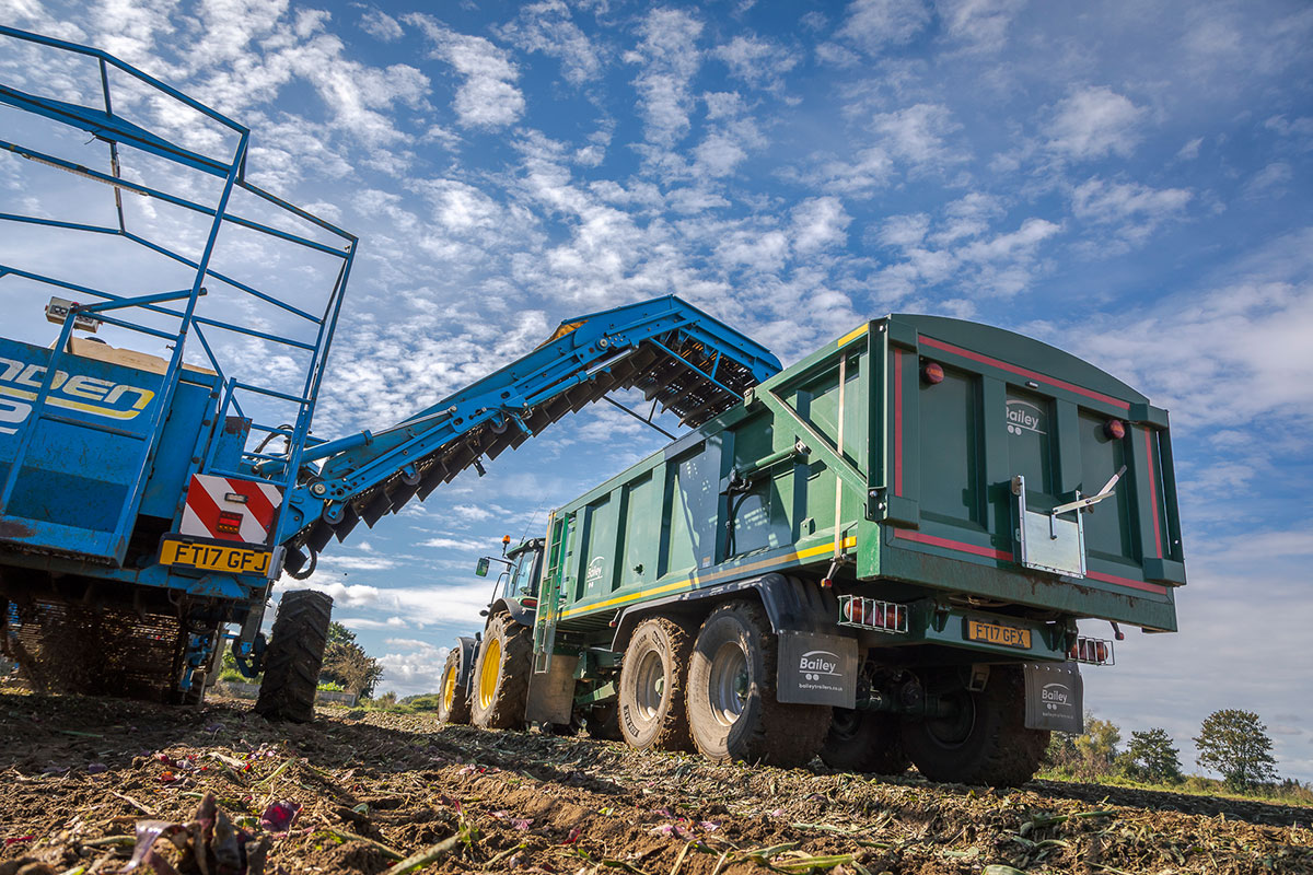 TB16 trailer on onion harvest