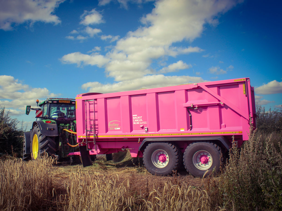 Pink TB16 in the field