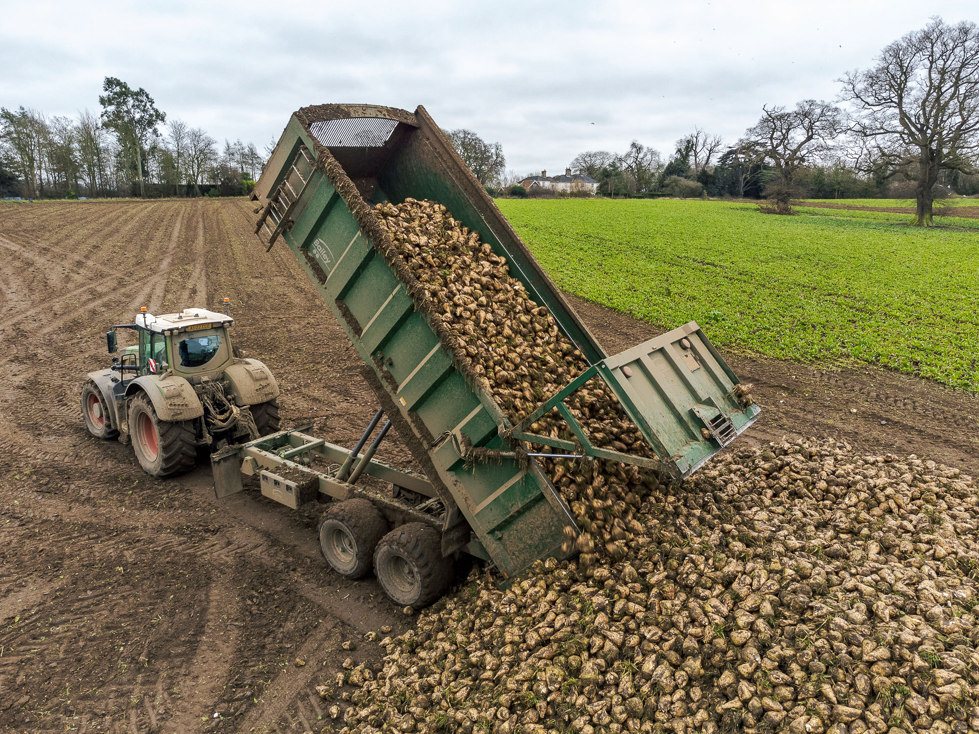 Bailey Beeteaper unloading on Paul Stent's farm