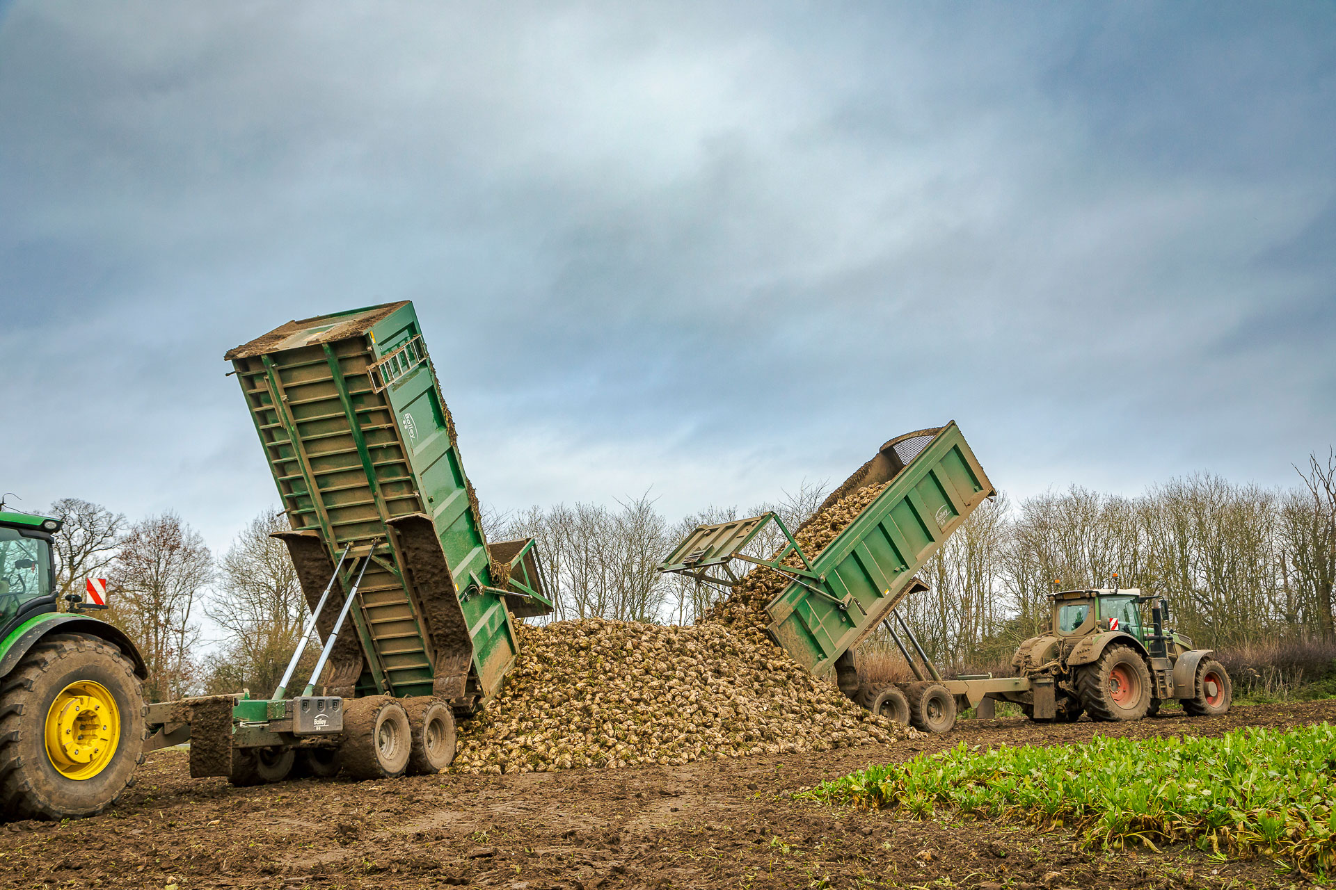 Paul Stent's Beeteaper trailers on harvest duty